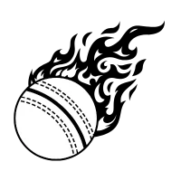 Icon Cricket
